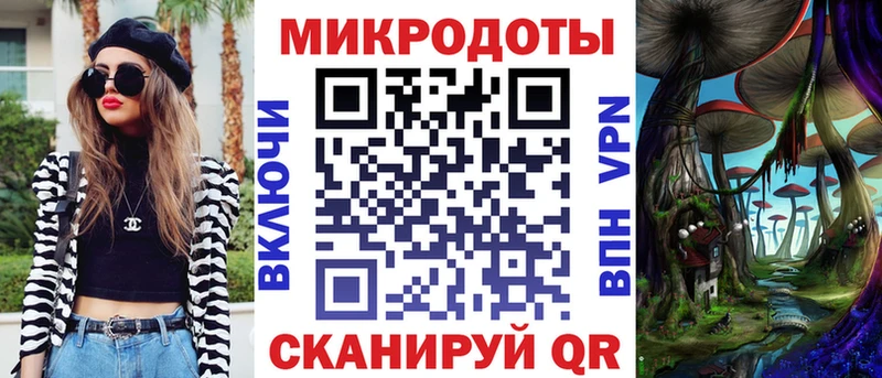 где купить наркоту  Кудрово  Псилоцибиновые грибы Psilocybe 