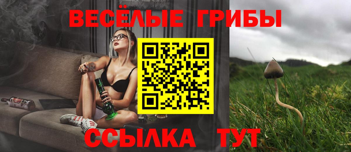 Галлюциногенные грибы мицелий  Псилоцибиновые грибы MAGIC MUSHROOMS  Вход с VPN  Кудрово 