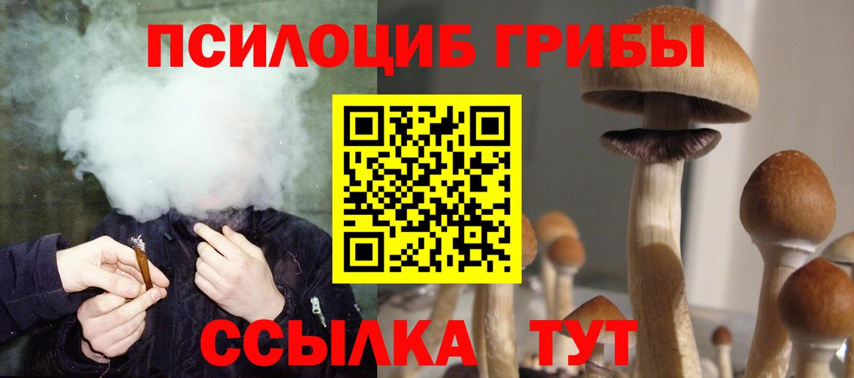 Псилоцибиновые грибы мухоморы Кудрово
