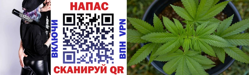 хочу   Кудрово  МАРИХУАНА Amnesia 
